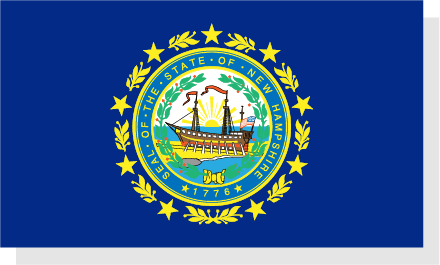 New Hampshire State Flag